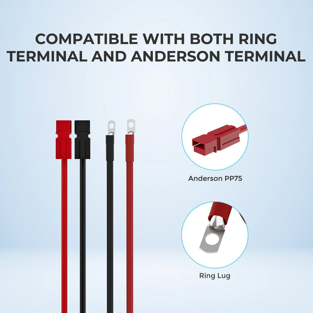 Renogy 10FT 6AWG Anderson Adapter Cable (Anderson PP75 - 3/8 in Lugs） - Image 3