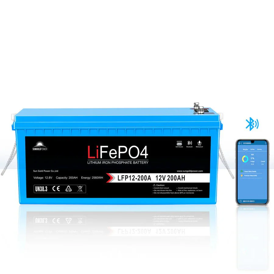 SunGoldPower 4000W DC 12V Pure Sine Wave Inverter With Charger - Image 10